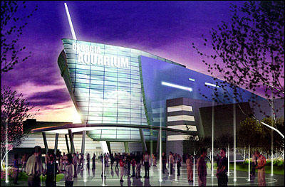 The Georgia Aquarium, located in Atlanta, Georgia