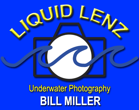 www.liquidlenz.com 