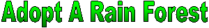  Hope For The Rain Forests