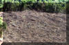 Clear-cutting in the Amazon rainforest as viewed from above by airplane