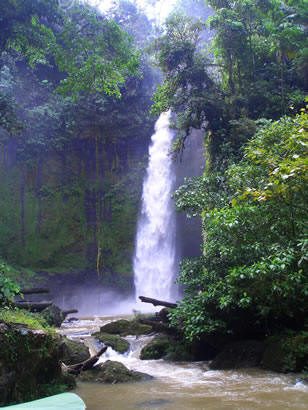 River in Ecuador Rainforest, Liza's Reef