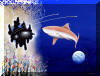#4 "Starry Eyed Shark", by Lee James Pantas