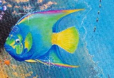 Queen Angel Fish by Lee James Pantas